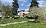 IMG_9683